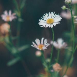 Meet your Posher, Alejandra